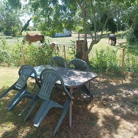 Hébergement de vacances Les Sablines - Maisons T2 à 700m De L'océan - Terrasse Et Parking *