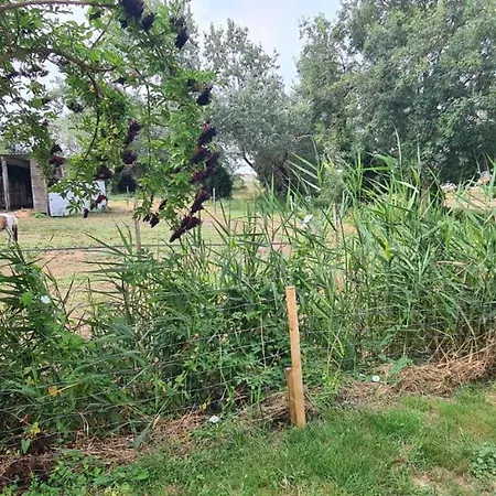 Les Sablines - Maisons T2 A 700m De L'ocean - Terrasse Et Parking *