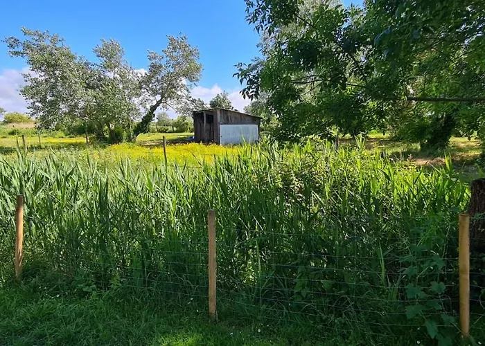 Les Sablines - Maisons T2 A 700m De L'ocean - Terrasse Et Parking * Yves