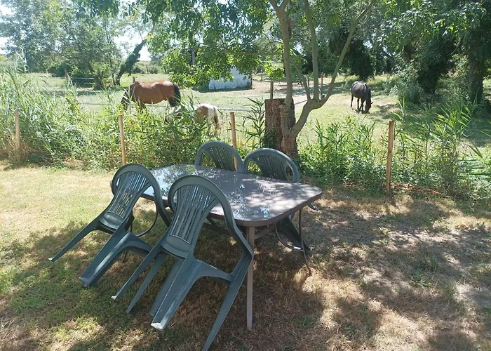 بيت للعطل Les Sablines - Maisons T2 A 700m De L'ocean - Terrasse Et Parking *