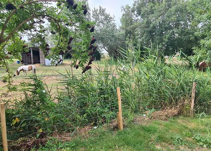 Les Sablines - Maisons T2 A 700m De L'ocean - Terrasse Et Parking *